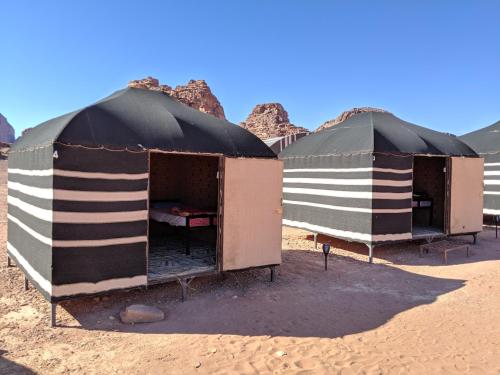 Wadi Rum Bedouin Tour with a Camp