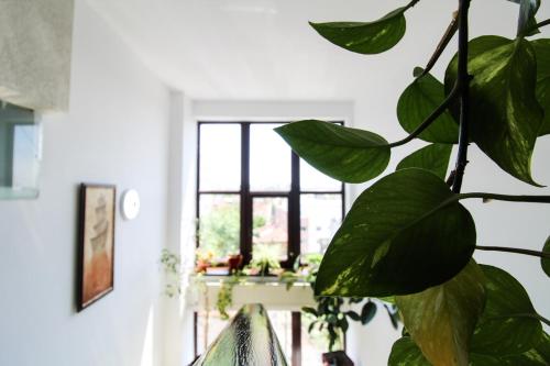 Hotel Razvan - image 7