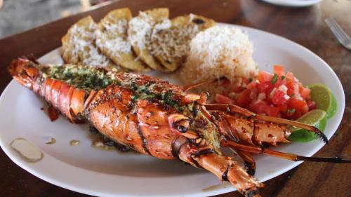 Maistas ir gėrimai, Pelicano Surf Camp in La Libertad