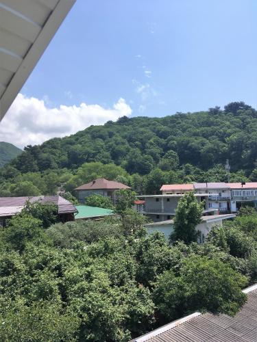 Guest House Alisa - image 12