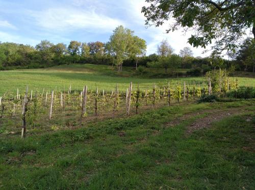  Agriturismo Il Melo in Valfabbrica