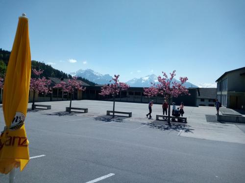 Gasthaus Krone - image 3