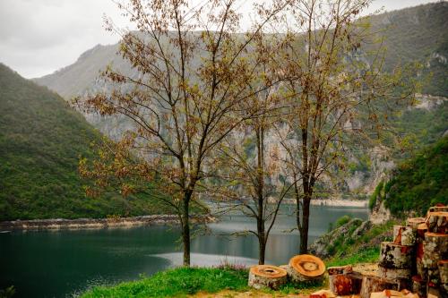 View, Apartment Silence in Pluzine