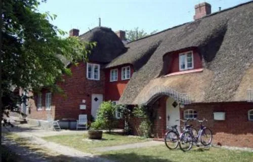 Marschküken in Wrixum, Deutschland