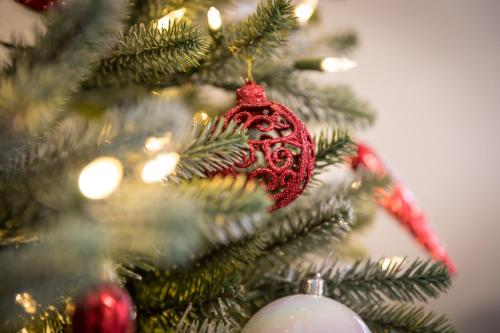 My Sweet Homes - Christmas Apartment - image 8