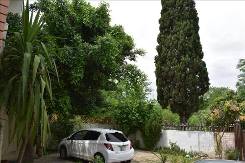 Tulip guesthouse - image 9