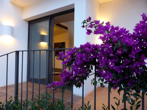 Hotel Sol Ixent
