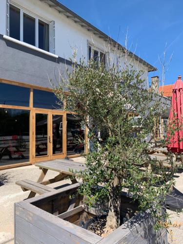 Exterior view, Bar 145 in Magnac-Laval