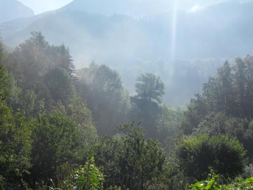 La Chouette à l'heure du Pinson