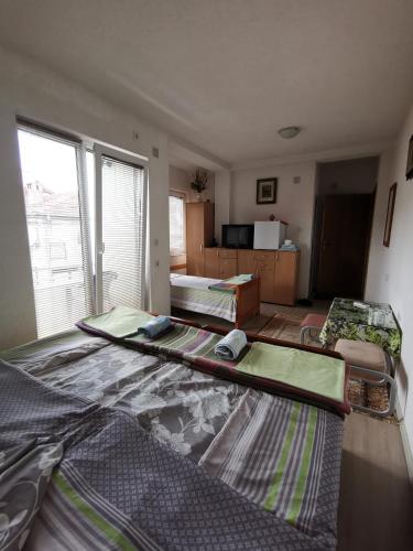 Villa Centar Ohrid in Leskajca