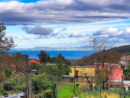 Il Nespolo - Apartment - Vico Equense