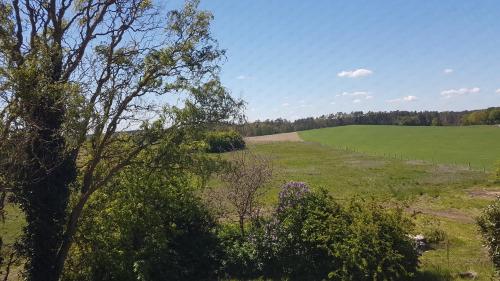 Surrounding environment, Lily-Rose Cottage in Other