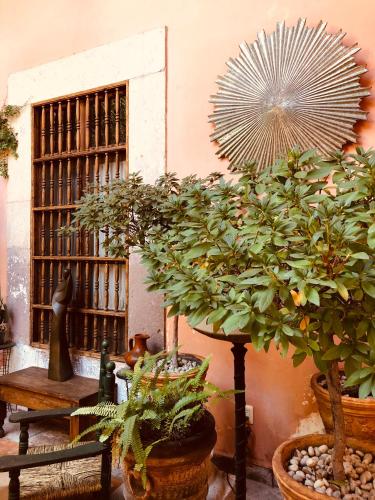 197671838 Casa Eugenia Hotel