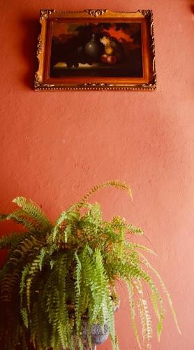 197672366 Casa Eugenia Hotel