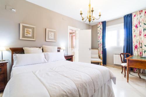 B&B Concha - image 14
