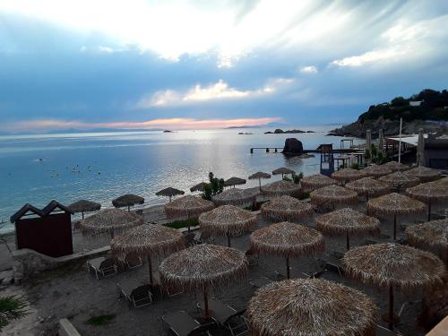 阿纳维索斯 New seafront studio 4星级 单人房 餐厅