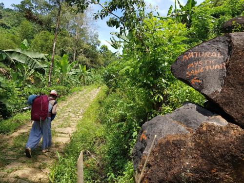 Natural Mystic Sanctuary