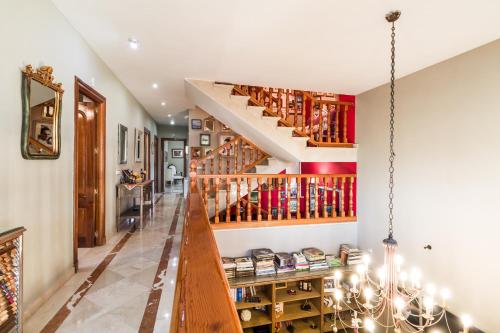 B&B Concha - image 7
