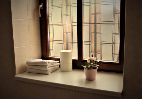 Penzion a restaurace U ŘEKY - image 13