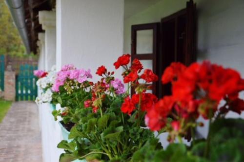  Kán-Forrest House with a View, Unterkunft in Kan