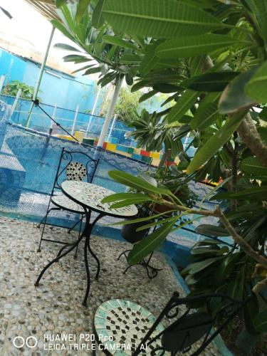 Swimming pool, Happiness Farm in Hatta