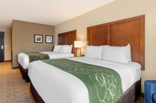 Comfort Inn & Suites Schenectady - Scotia