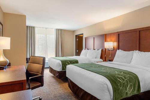 Comfort Inn & Suites Schenectady - Scotia