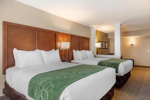 Comfort Inn & Suites Schenectady - Scotia in Schenectady, USA