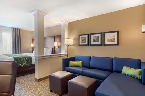 Comfort Inn & Suites Schenectady - Scotia