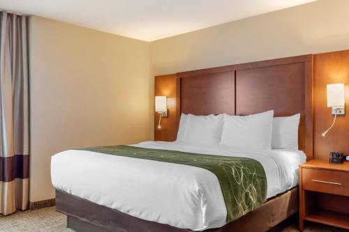 Comfort Inn & Suites Schenectady - Scotia