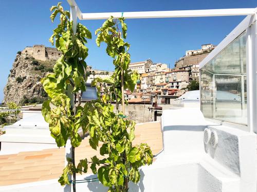  Mario Schifano in Scilla