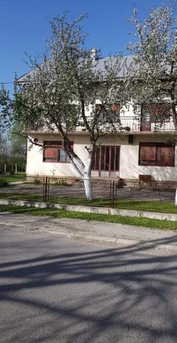  Apartman 'AS', Pension in Gospić bei Perušić