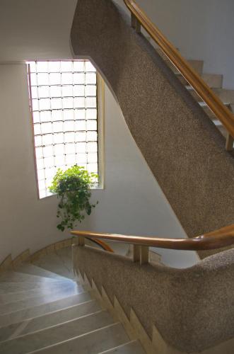 Olivarooms, Palermo (Foto 7)