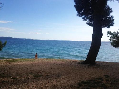  New modern apartment with sea view-150m from beach in Petrčane