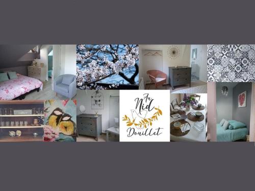 B&B Seigy - Au Nid Douillet - Bed and Breakfast Seigy