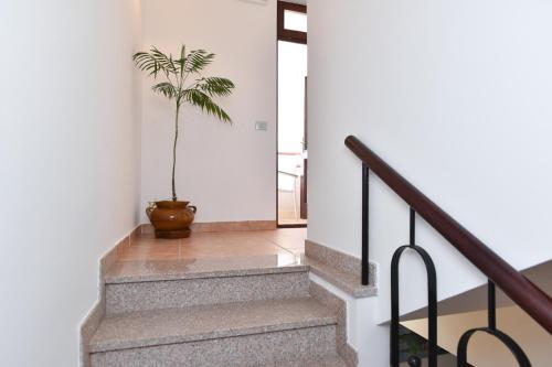 Guest House Jedro - image 8