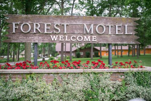 . Forest Motel & Woodland Retreat