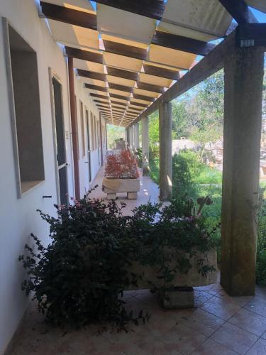 Masseria Cinti - image 2