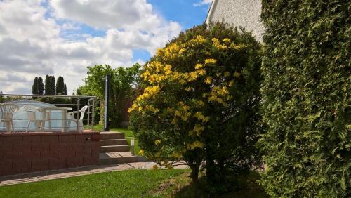 Penzion Kalina - image 7