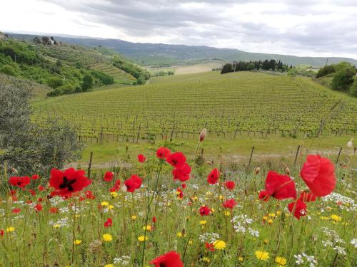 Agriturismo "Crocino in Chianti"