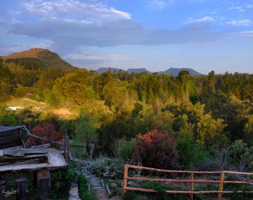 Wild Fox Hill
