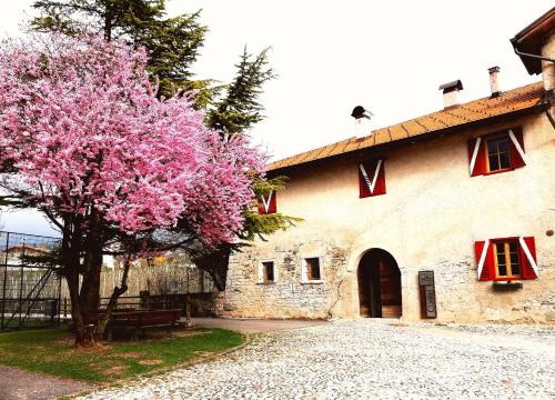  Agritur Ciastel, Sanzeno bei Brez