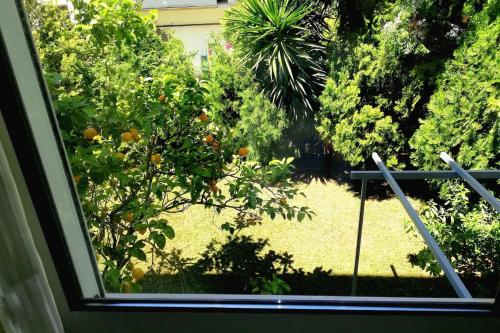 Lefkada SunCentral Apartments 5