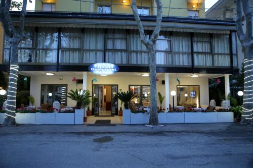 Hotel Busignani - image 4