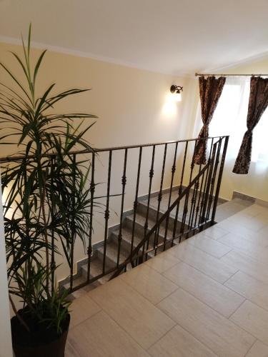 Casa Daomi - image 6