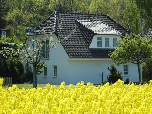 Ferienhaus Kranich _ Wohnung 2_1 - image 2