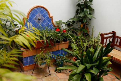 La Casa del Río, Córdoba (foto 10)