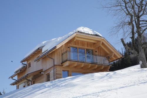 Almresort Baumschlagerberg - image 12