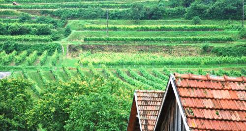 Weingut Jakob`s Ruhezeit