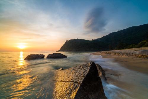 1511椰林木屋 1511椰林木屋
